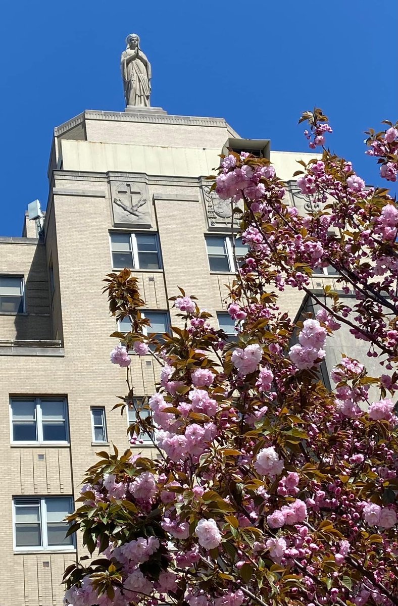 VirtuaHealth's tweet photo. We're catching some serious spring vibes at Virtua Our Lady of Lourdes Hospital 🌷💐 https://t.co/n6SnrwfEDE
