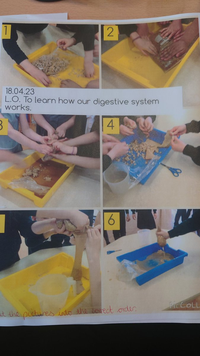 PanthersClass's tweet image. Look what we made today... But the pictures became jumbled up! Ask the children to see if they can put them into the correct order!