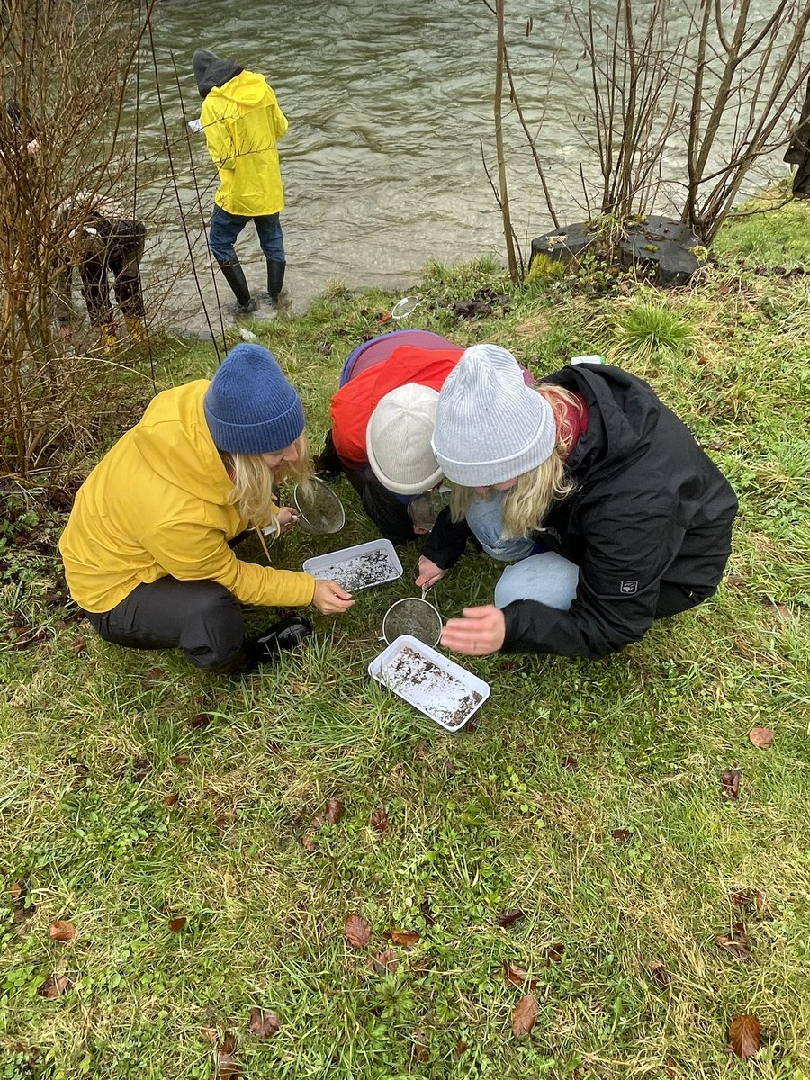 BOKU_IHG's tweet photo. It’s #Lunzkurs time of the year. Here you can see our students looking for benthic #macroinvertebrates. Much fun despite the cold temperatures and the rain. #bravestudents #proudlecturers @BOKUvienna /ask https://t.co/GDJ7p55oAc