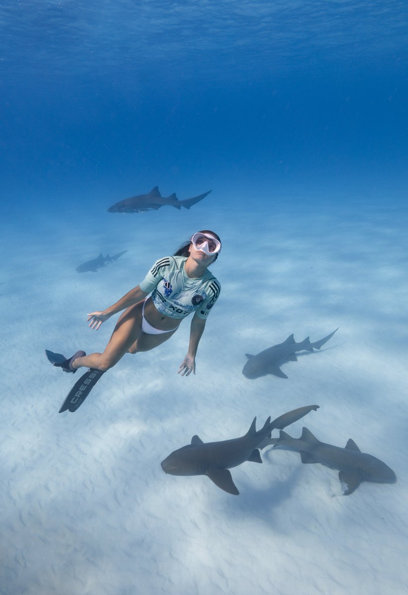 B/R Football on Twitter "Inter Miami went underwater with sharks to