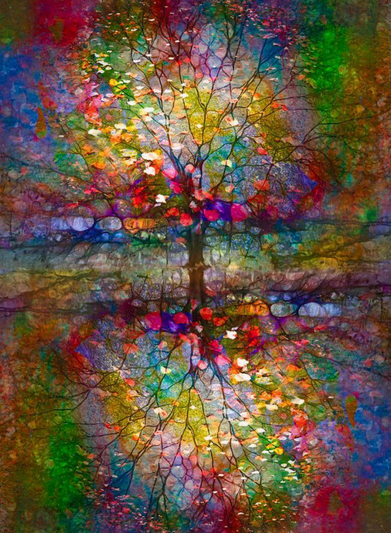 Havenlust's tweet image. Tara Turner