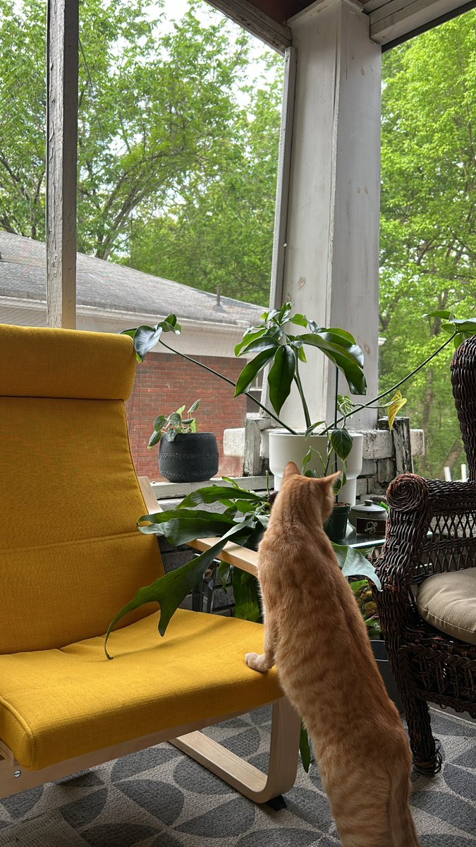 bigevilbug's tweet image. 