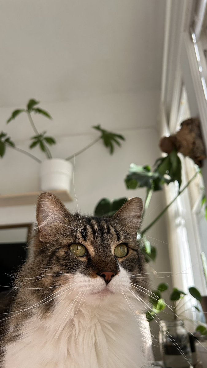 bigevilbug's tweet image. 