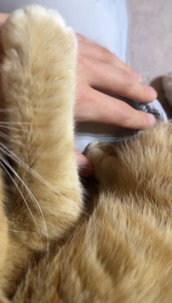 DIAMOND____0126's tweet photo. 윤옥이 약간 창규니 손을 바디필로우라고 생각하는거같은데 꼭 쥐고 안놔주고있어 ㅋㅋㅋㅋㅋㅋㅋㅋㅋㅋㅋ https://t.co/MHpCuZgAnq