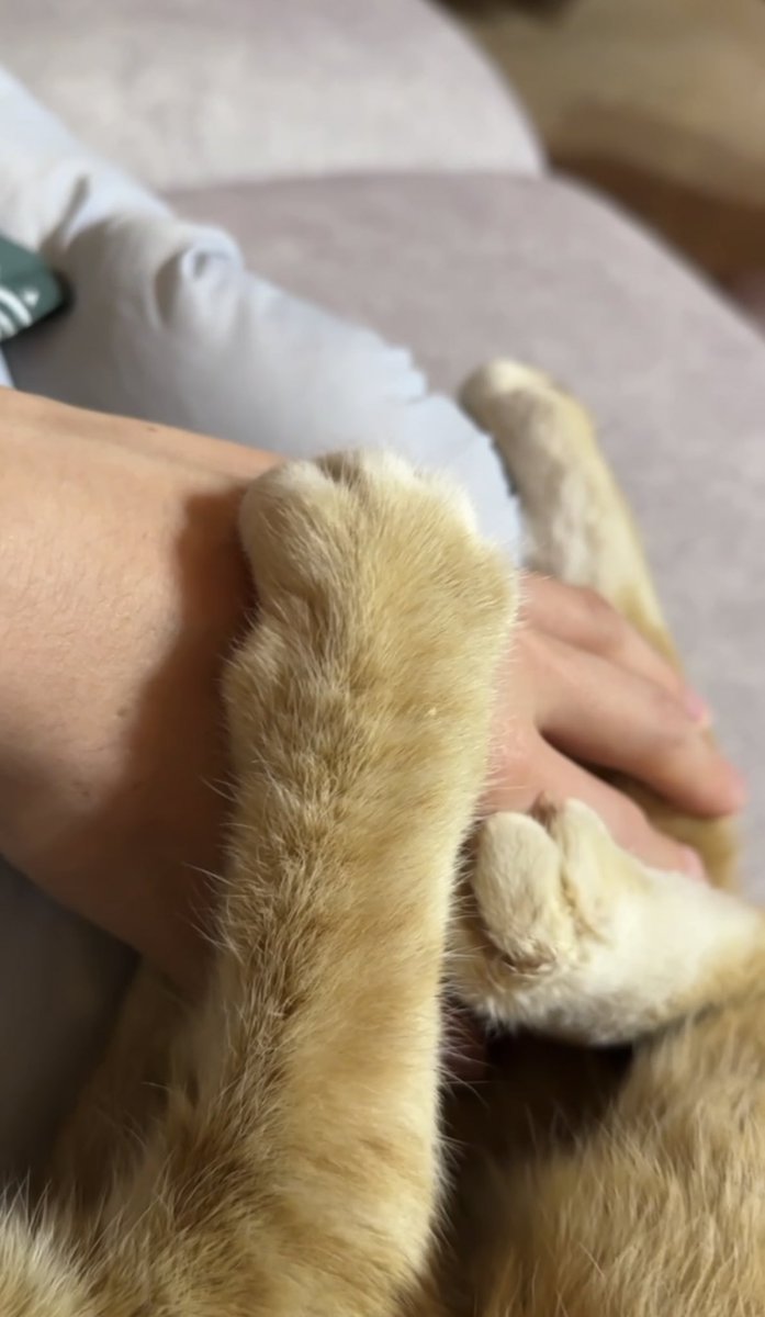 DIAMOND____0126's tweet photo. 윤옥이 약간 창규니 손을 바디필로우라고 생각하는거같은데 꼭 쥐고 안놔주고있어 ㅋㅋㅋㅋㅋㅋㅋㅋㅋㅋㅋ https://t.co/MHpCuZgAnq