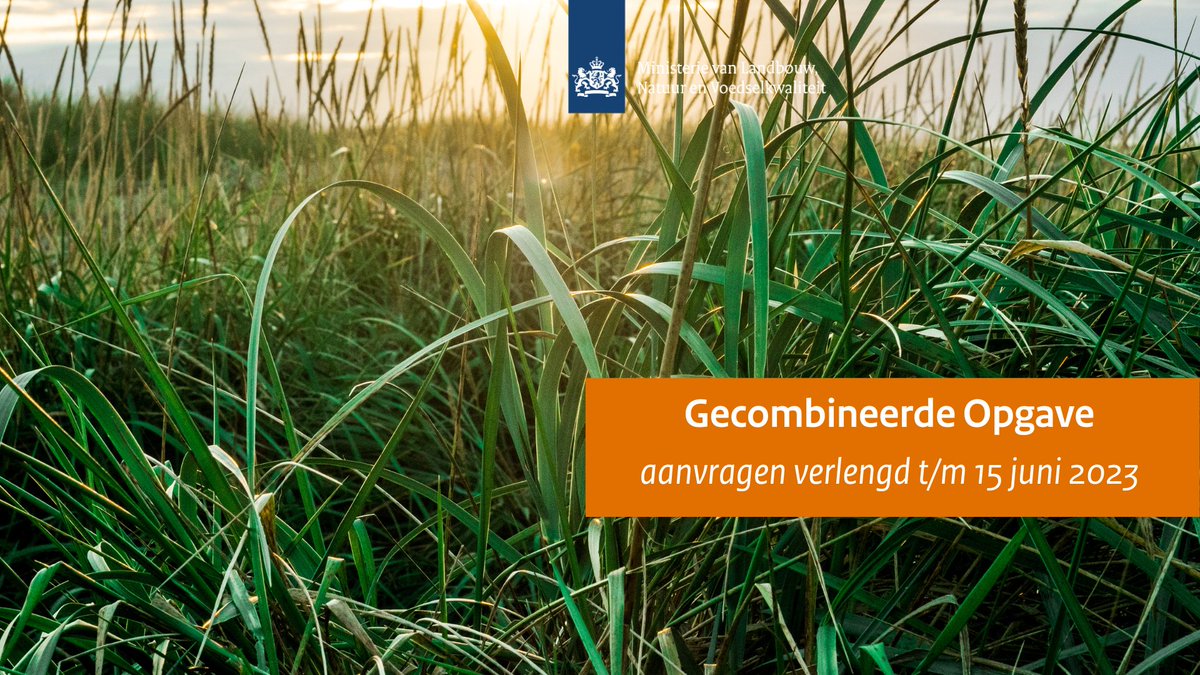 minlvvn's tweet photo. Boeren krijgen dit jaar een maand langer de tijd om de Gecombineerde Opgave in te vullen: tot en met 15 juni 2023. Dat heeft @ministerlnv Adema vandaag laten weten in een brief aan @2eKamertweets. 

Meer weten ⤵️
https://t.co/tbzfNSLzZP https://t.co/Q2C9VetISC