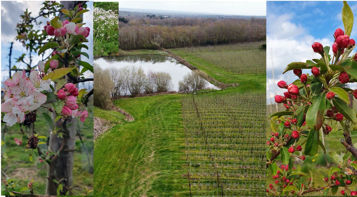 Alex Charrington tweet media