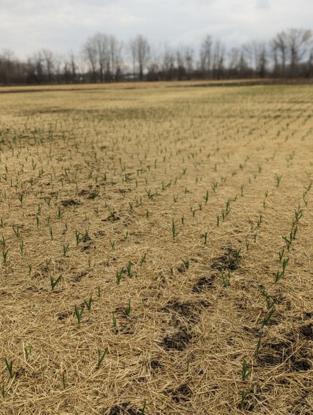 Foster Family Farm tweet media