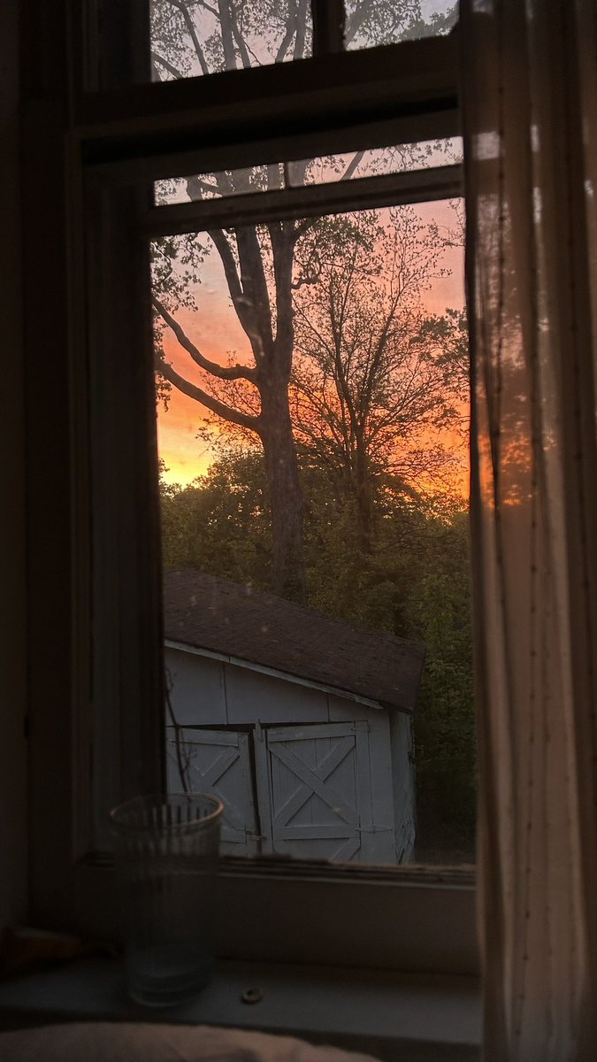 bigevilbug's tweet image. 