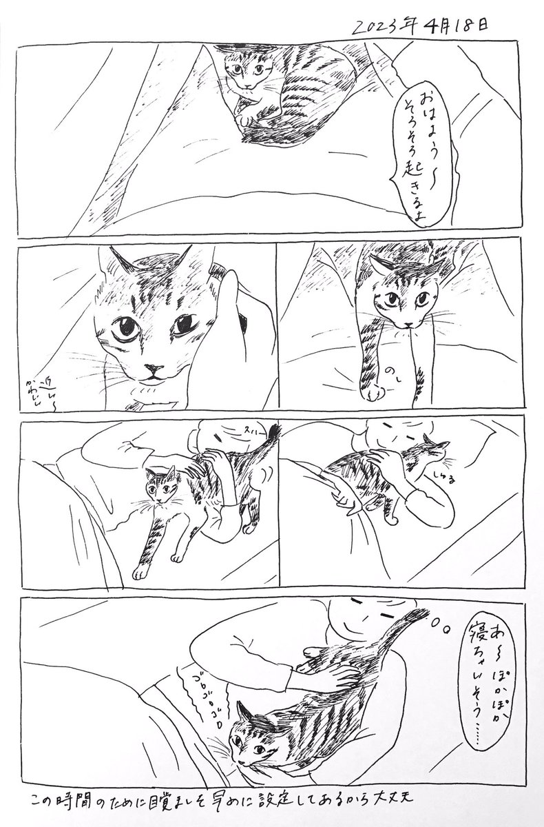 2023/4/18のぎんちゃん #今日のぎんちゃん