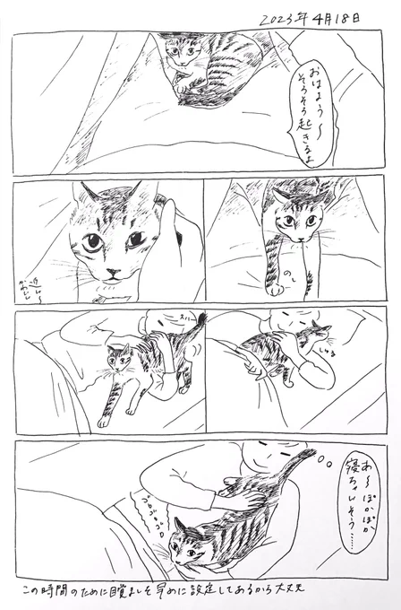 2023/4/18のぎんちゃん #今日のぎんちゃん