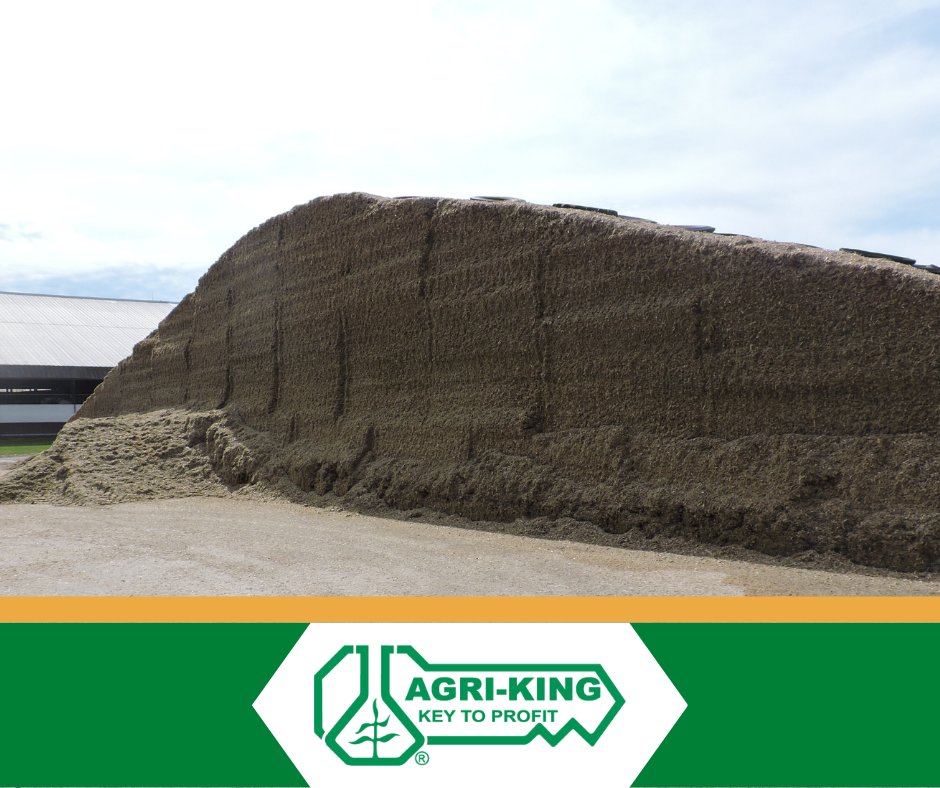AgriKingInc's tweet photo. Silo-King® is a silage fermentation additive that improves the efficiency of the ensiling process through multiple means.
To learn more, contact us at (800) 435-9560 and ask to speak with our Agri-King laboratory, ANALAB.
#DryMatterLoss #KeyToProfit https://t.co/pE6vU5MIfF