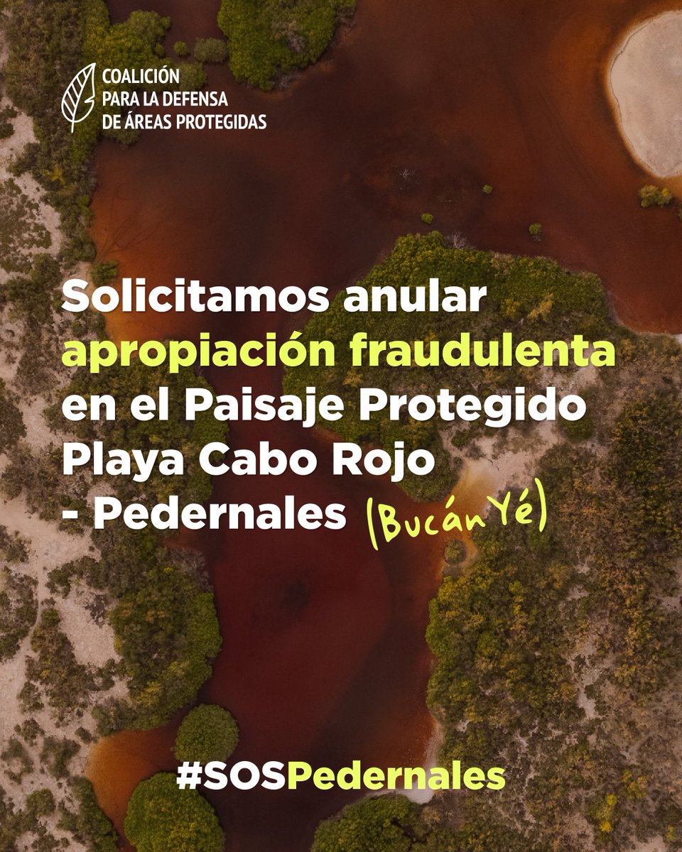 La Coalición para la Defensa de la Áreas Protegidas solicita anular la apropiación fraudulenta en el Paisaje Protegido Playa Cabo Rojo - #Pedernales, conocido como #BucánYé.
Lee la declaración aquí: bit.ly/41vomoI