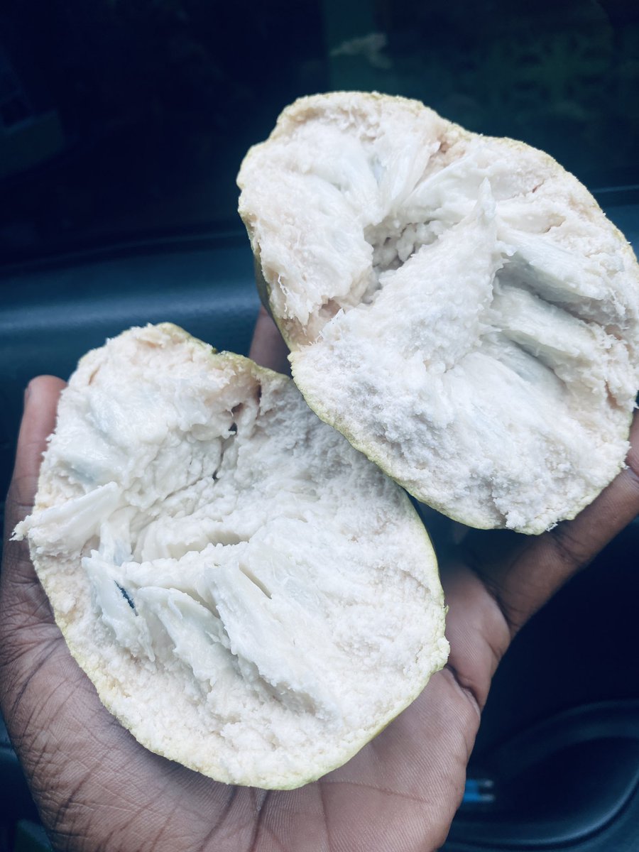 St. Ann 360 🇯🇲 tweet media