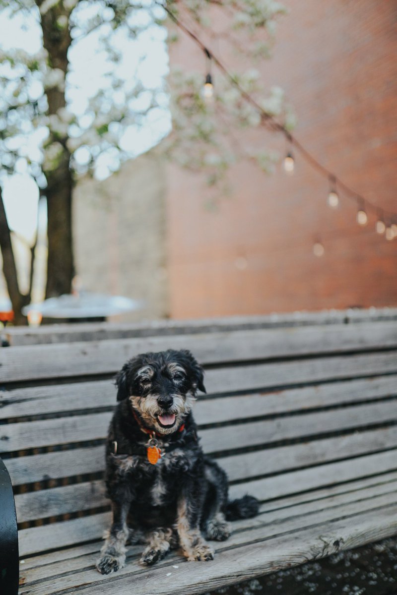 Leaning Cask Brewing Company tweet media