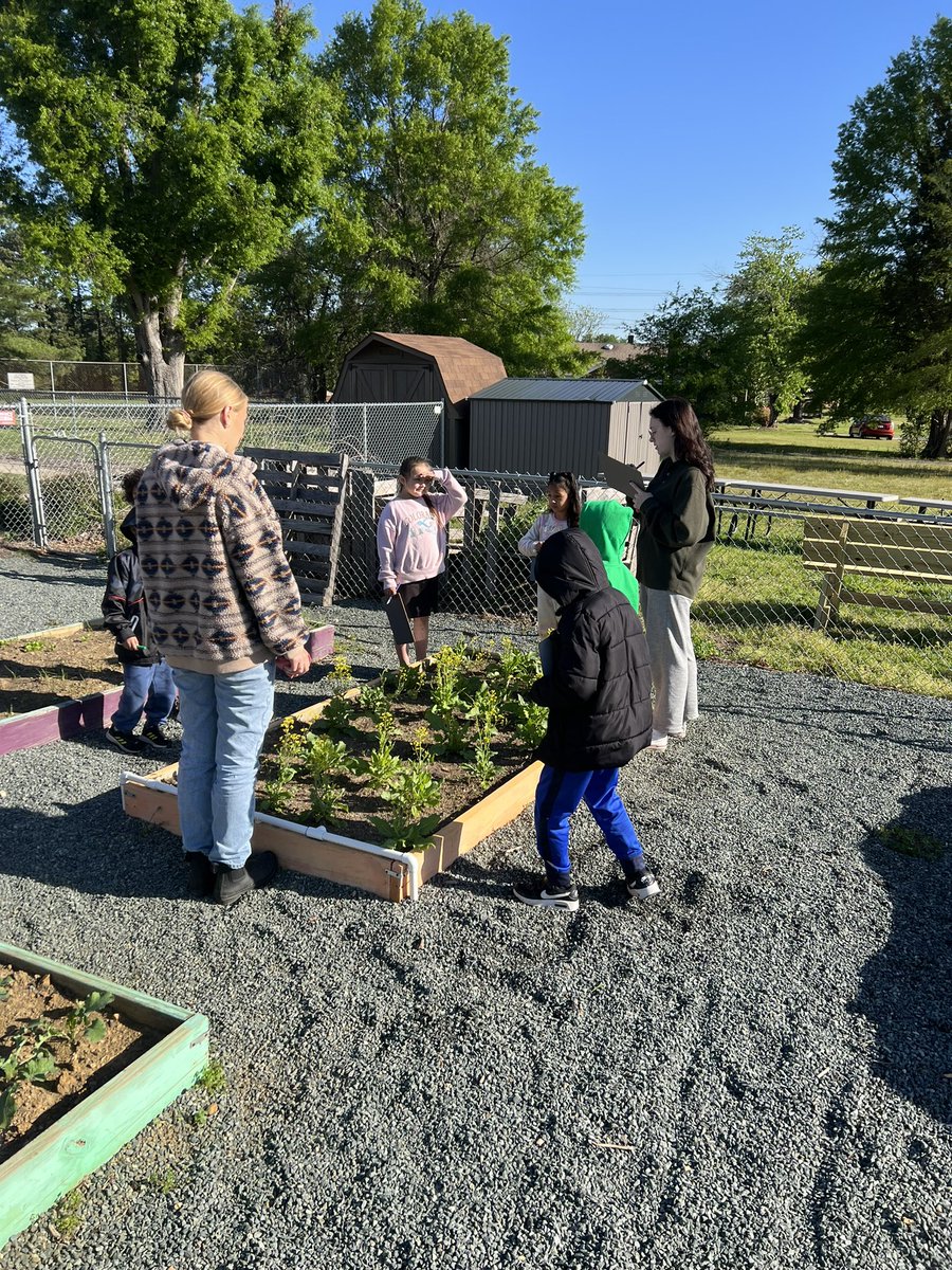 scomorrison's tweet photo. Lots of #literacy in the #schoolgarden today @eaepanthers! #enviroed #ElonEd #teachingoutside https://t.co/ekK8hSM3A7