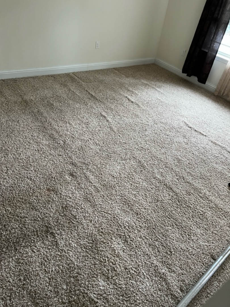 They offer an extensive range of carpet repair services performed by their expertly trained team. Request a quote by calling (228) 365-9911. 
 
#GulfportMS #CarpetRepair bit.ly/3hTcyej