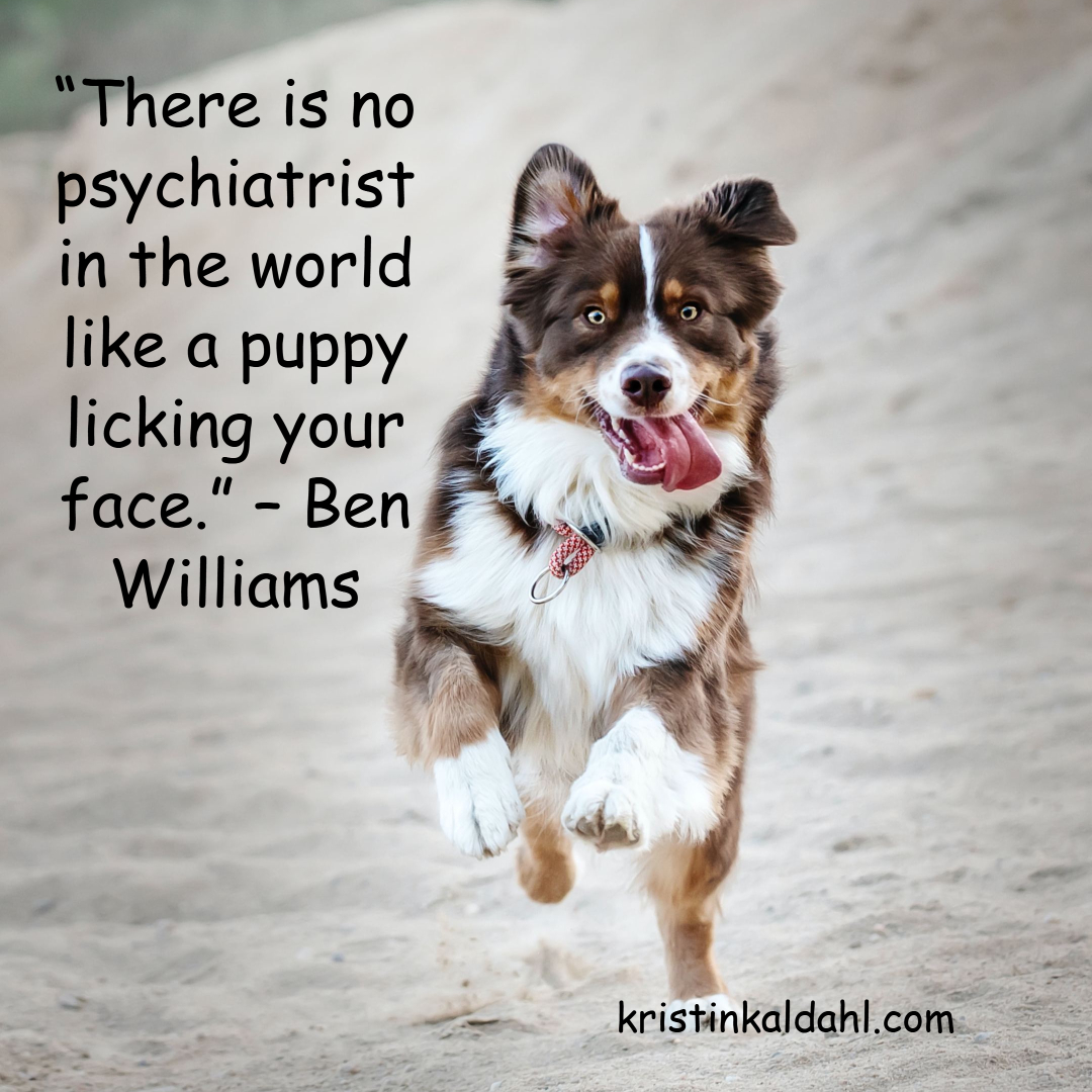 Sheltiebeast's tweet photo. I just got a new puppy and can tell you...this is true! #doglove #puppybreath #puppylove #puppiesofinstagram https://t.co/0Vo83xkvli