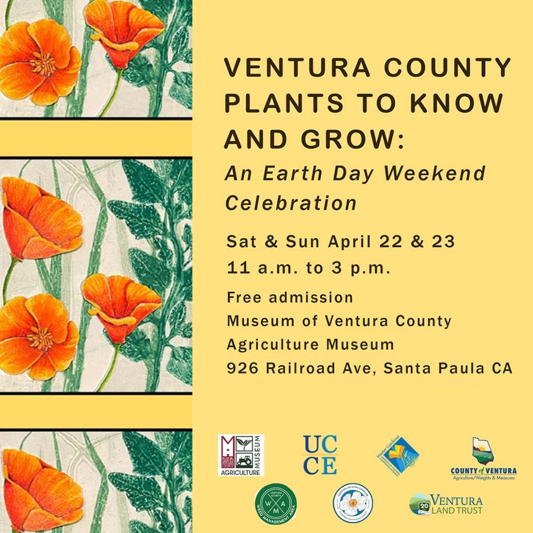 Museum of Ventura County tweet media