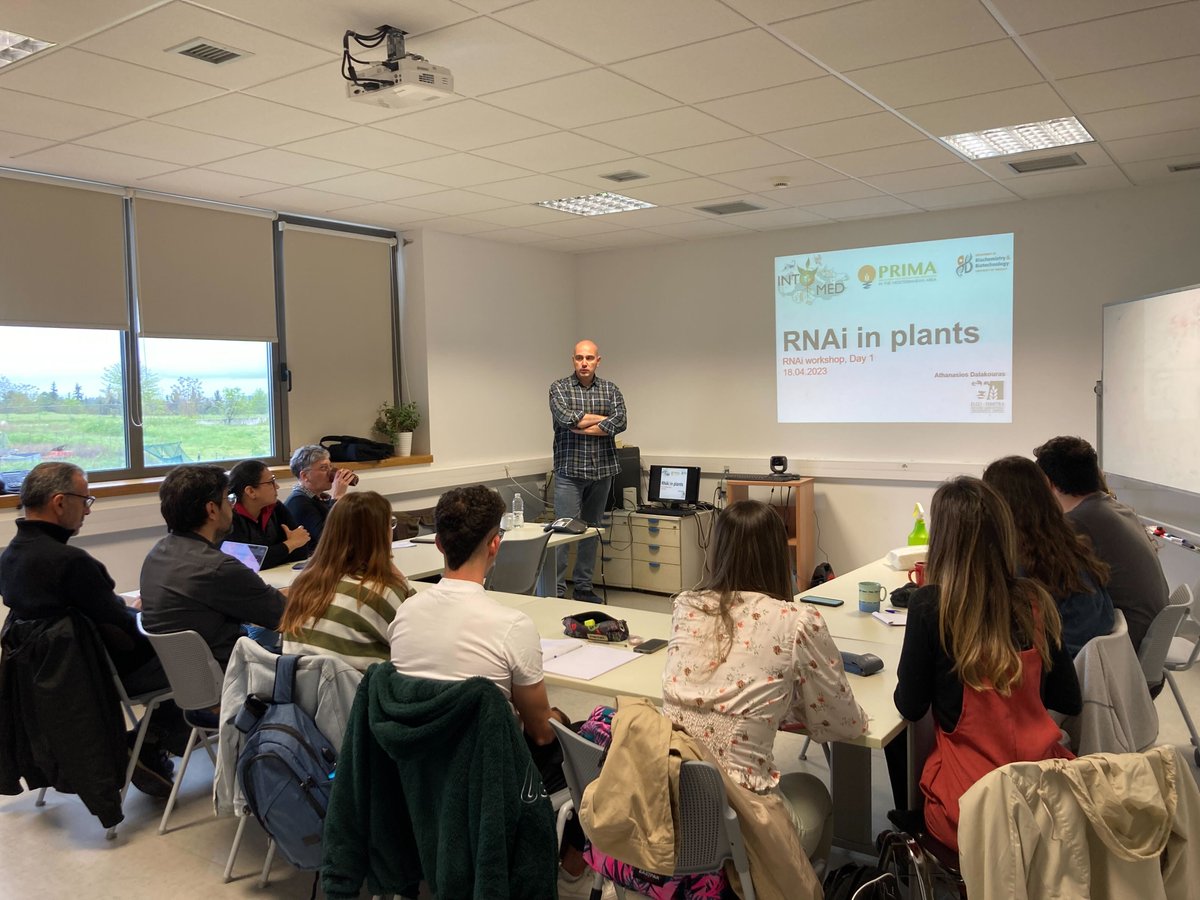 INTOMED_PRIMA tweet media