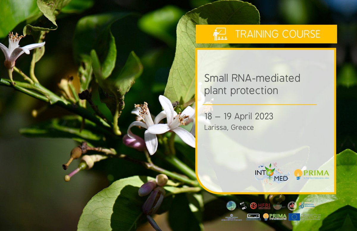 INTOMED_PRIMA tweet media