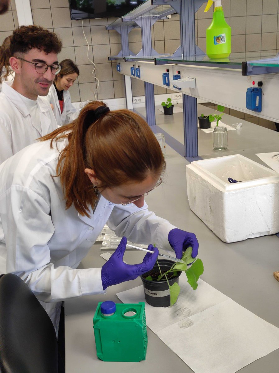 INTOMED_PRIMA tweet media