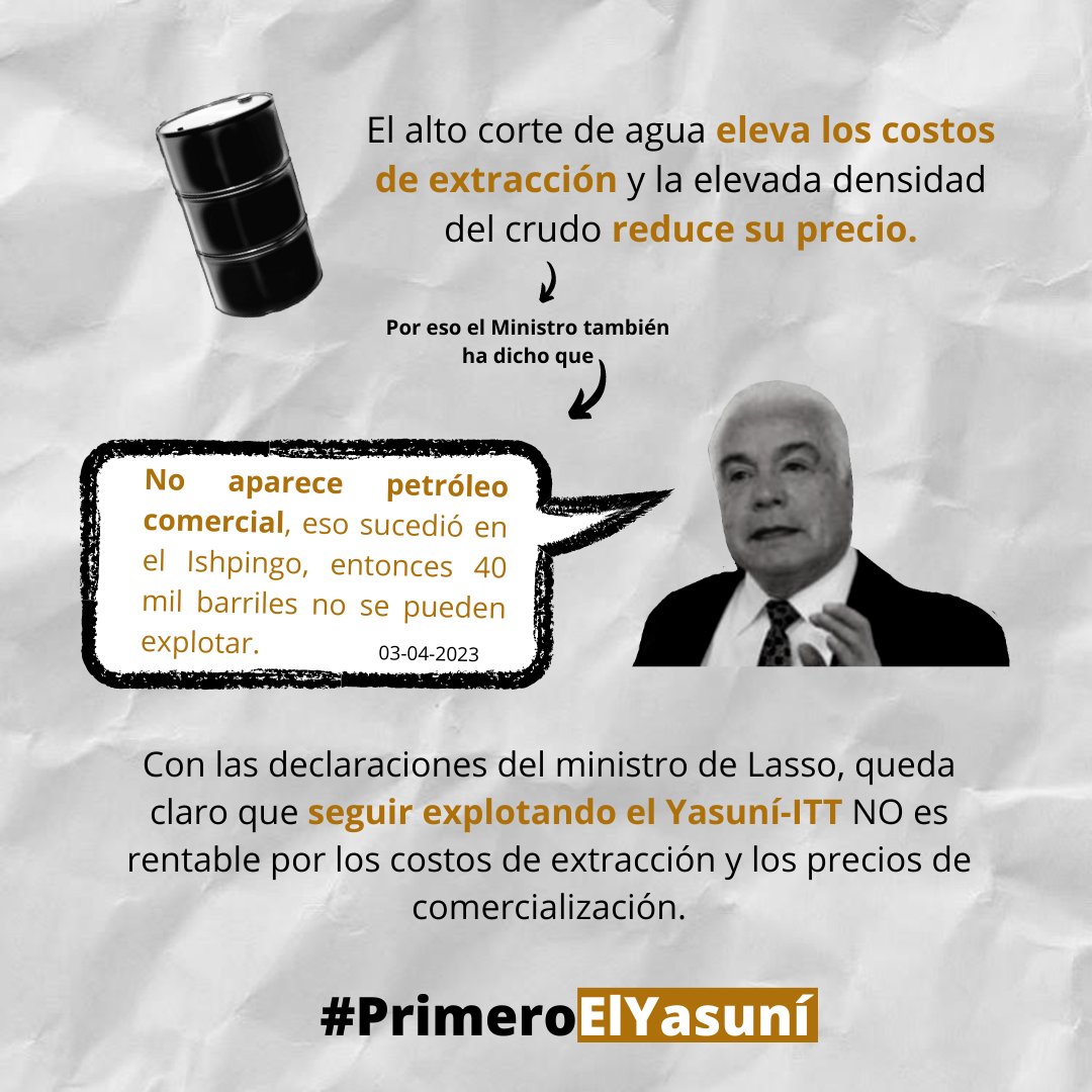 Alejandra Santillana Ortiz tweet media