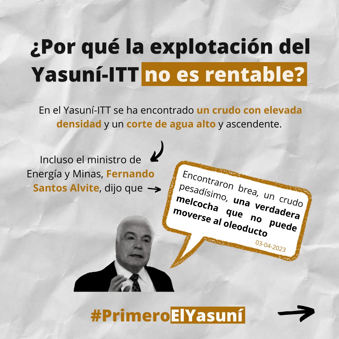 Alejandra Santillana Ortiz tweet media