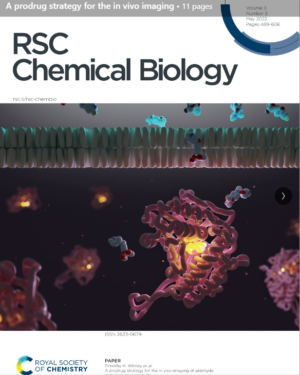 MedisoUS's tweet photo. A prodrug strategy for the in vivo imaging of aldehyde dehydrogenase activity.
Article by Raul Pereira et al., using #Mediso nanoScan PET/CT.
https://t.co/Kc0bYPZGYH https://t.co/vOCUoRj2OM