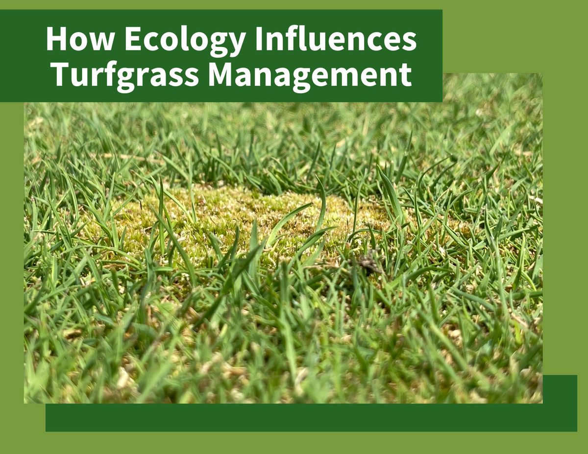 AquiMaxTurf's tweet photo. Considering ecological factors when managing turf can make achieving consistent, uniform conditions simple. Find out what factors can make a difference in this blog: https://t.co/kxlDfCE5Ui #turfmanagement #turfecology #wettingagents #LDS #turfgrass https://t.co/WCvewUG5vD