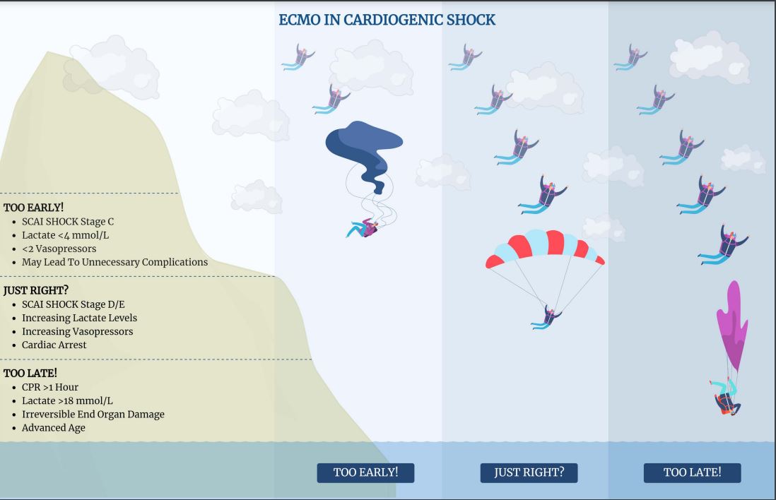 Dominik Scharpf (@dscharpfmd) on Twitter photo Wann ist der richtige Zeitpunkt für eine #ECMO-Therapie im kardiogenen Schock?
Ein komplexes Thema mit (noch) wenig Evidenz (Ergebnisse von #ECLS-SHOCK mit Spannung erwartet).
Hier eine schöne, wenn auch sehr vereinfachte, Darstellung zum Timing aus <a href="/CircAHA/">Circulation</a> ⬇️ Wann ist der richtige Zeitpunkt für eine #ECMO-Therapie im kardiogenen Schock?
Ein komplexes Thema mit (noch) wenig Evidenz (Ergebnisse von #ECLS-SHOCK mit Spannung erwartet).
Hier eine schöne, wenn auch sehr vereinfachte, Darstellung zum Timing aus <a href="/CircAHA/">Circulation</a> ⬇️