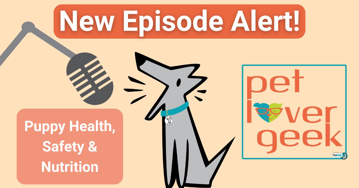 PUPPIES! If you have a puppy or are planning to bring a new puppy into your home in the future, it's important to know about key health, safety &amp; nutrition considerations so you can prepare! Learn more in this new #PetLoverGeek Podcast Episode.

ow.ly/8BCa50NHflo