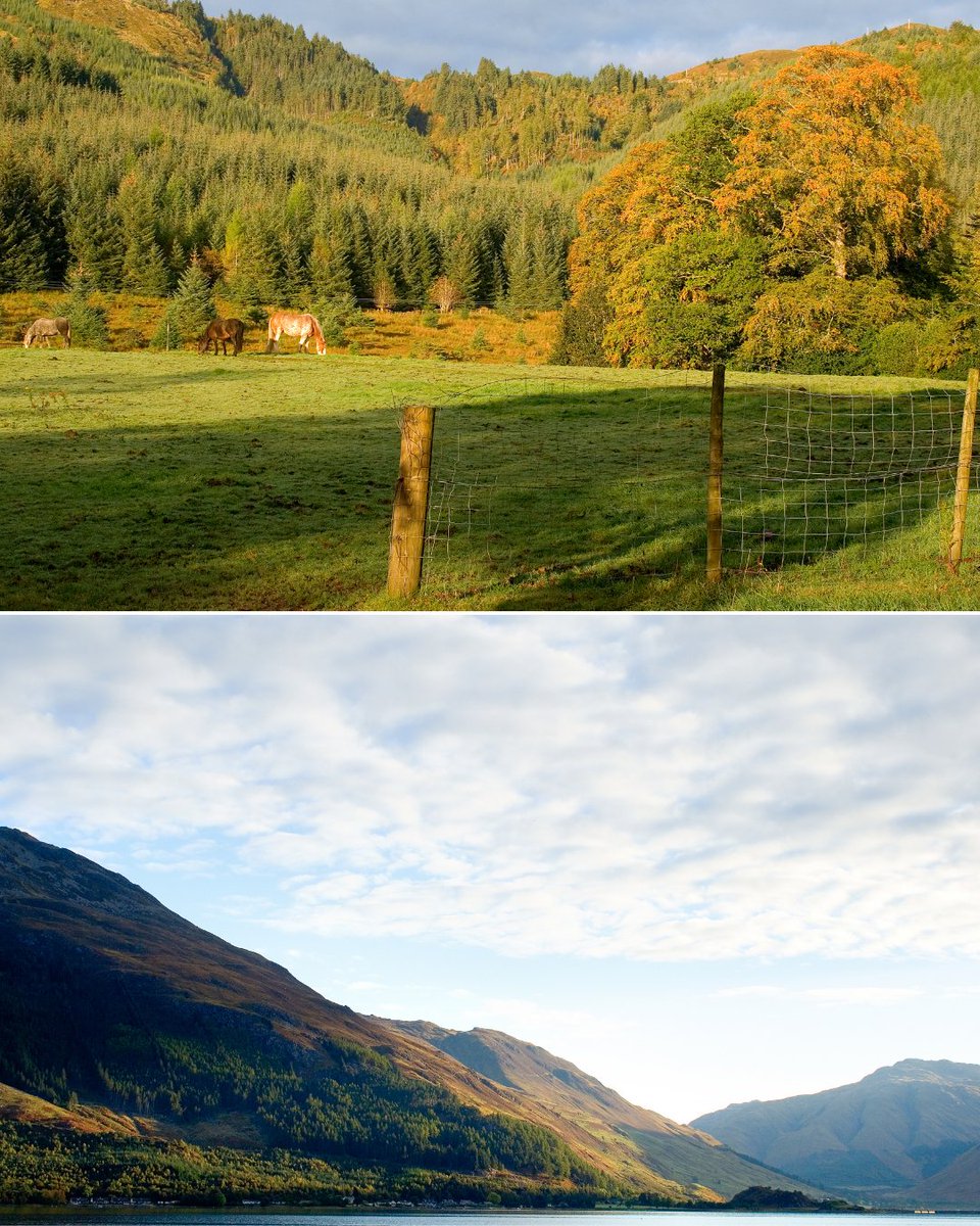 hostellingscot's tweet photo. Explore our Ratagan Youth Hostel ๐
Take in the stunning scenery and book your stay with us!
@VisitScotNews @Hostelling #highlandsofscotland #Ratagan #scotlandnature #hostels #hostelmemories #hosteler #hihostels https://t.co/v3rDiXhHPR