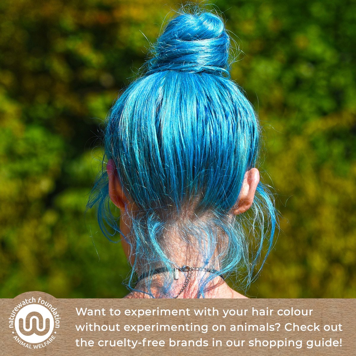 Naturewatch_org's tweet photo. In the past, #crueltyfree hair colour was quite hard to find.
Now, there are more options and we proudly endorse the kindest brands in our #CompassionateShoppingGuide.
So, whether you want to go blonde, brunette - or blue! - browse the guide here:
🐰 https://t.co/OXiF7Tu3tH https://t.co/MkcpyzQ6yd