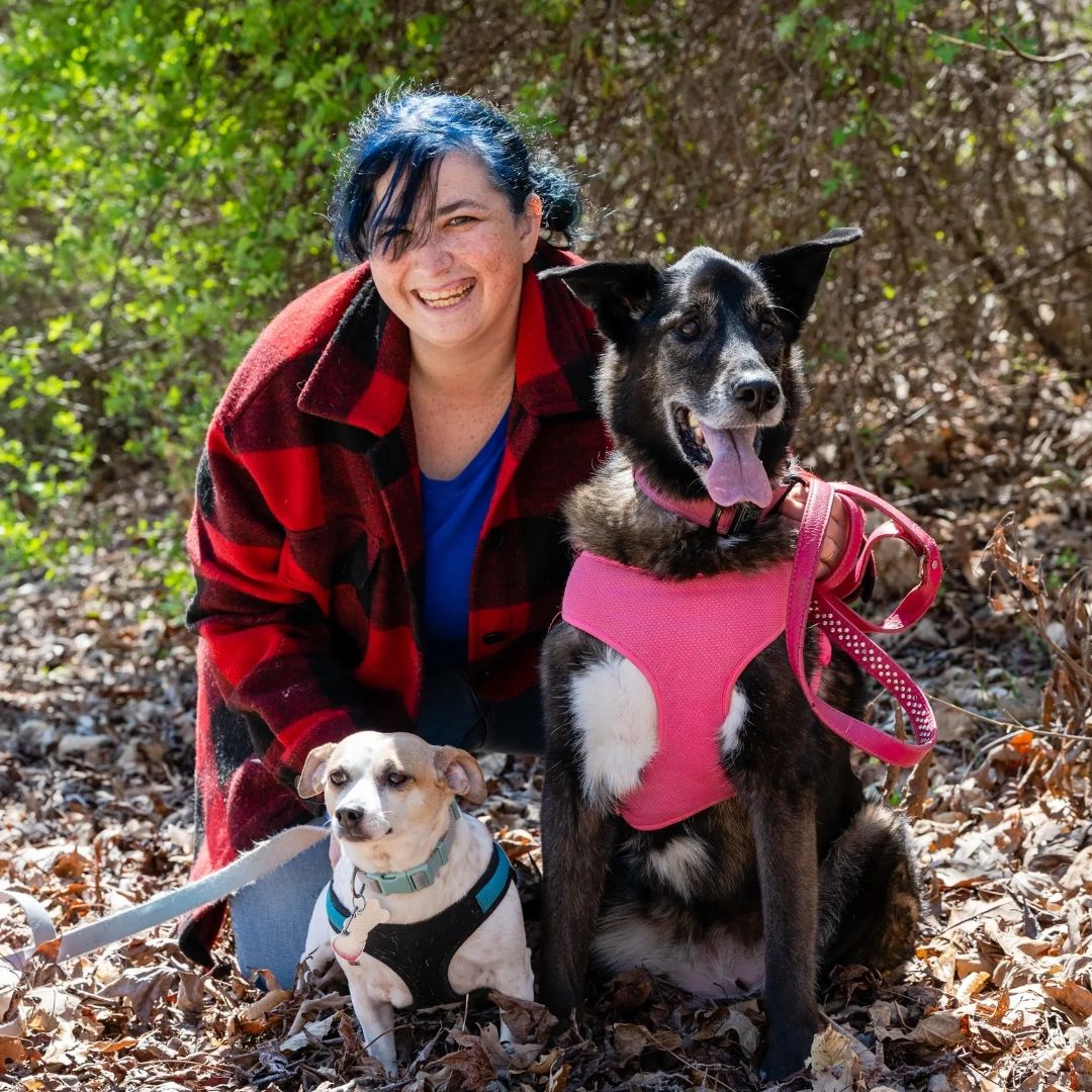 Leash up! It can be hard to find time during a busy work day to get your dog the walk they've been barking for. Our passionate pet team will attach the leash and take this task off your hands! #TongueOutTuesday