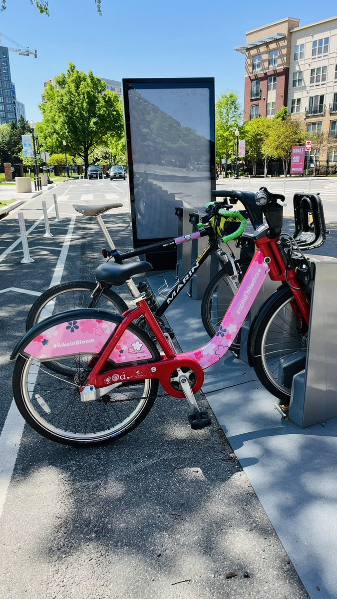 randomduck's tweet photo. For those wanting a #BikeInBloom fix: there’s one at the Eckington @bikeshare station right now! #bikeDC https://t.co/9Au7aeFNpW
