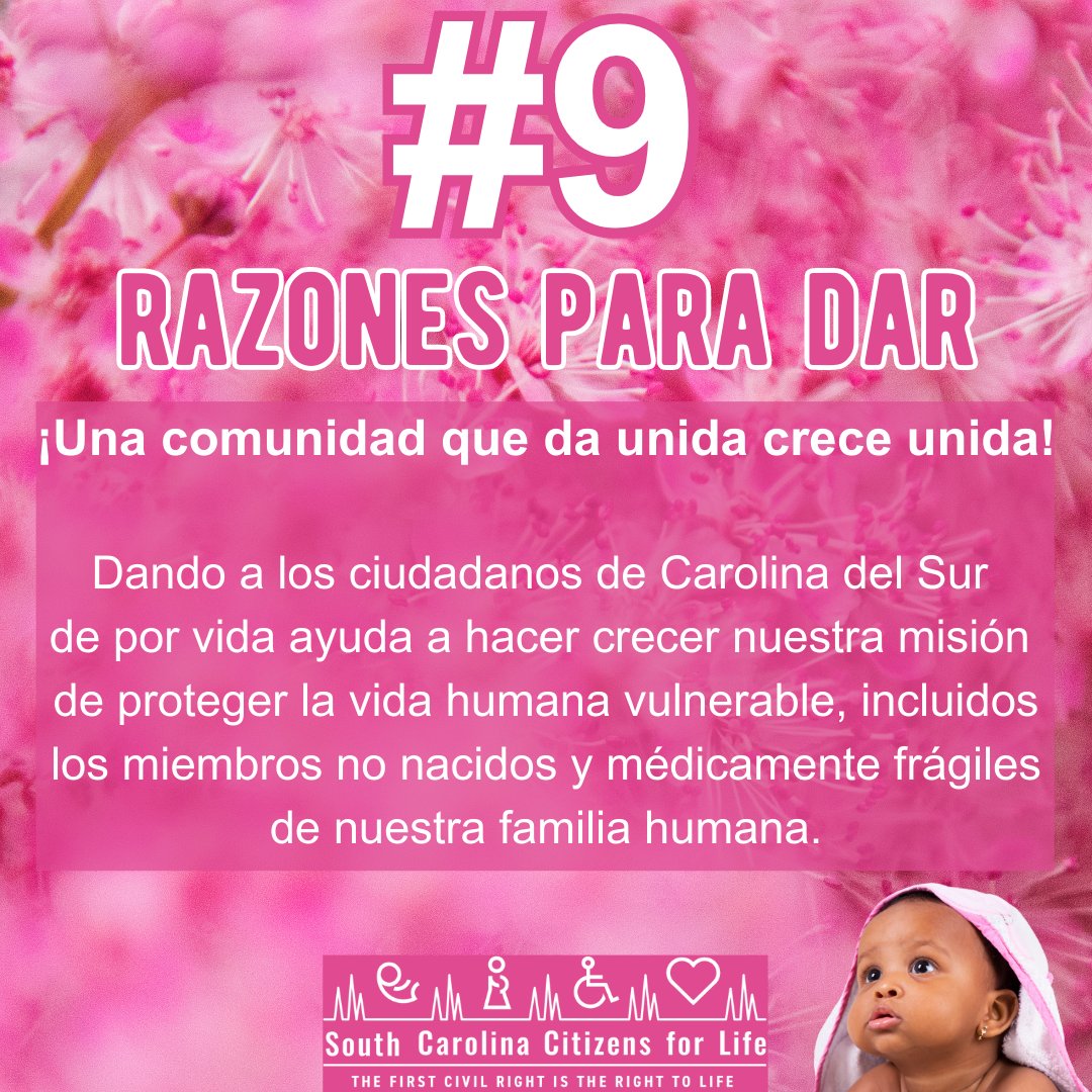 🤗 #9 Reason to Give to OCCL! 🤗

Giving to OCCL helps to grow our mission to protect vulnerable human life, including the unborn and the medically fragile members of our human family.

➡️Protect Vulnerable Human Life! 

midlandsgives.org/fundraise/1949…

#life4sc
#savethebabiessc