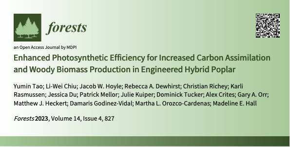 Living Carbon tweet media