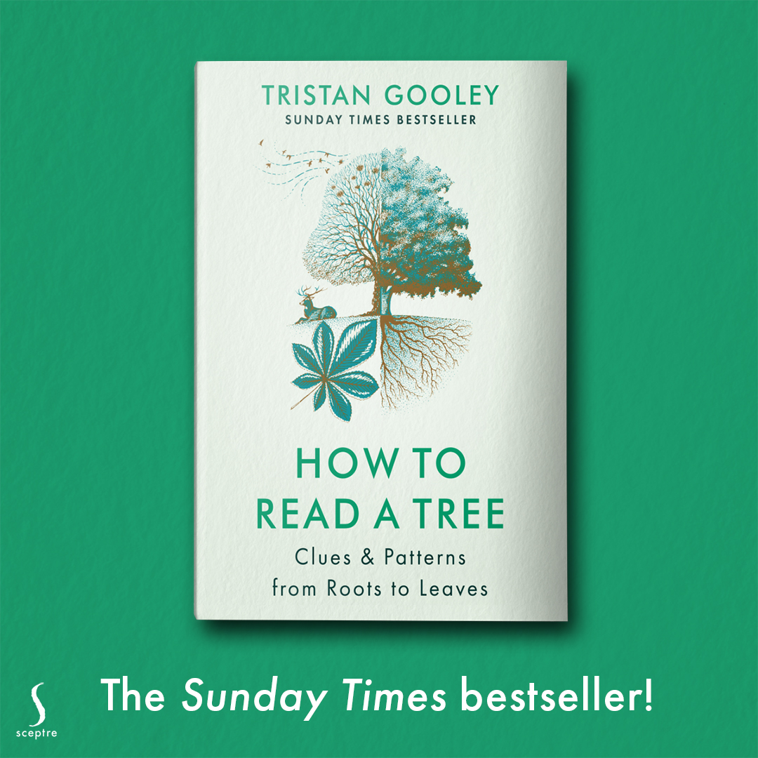 SophieHicksAg's tweet photo. Massive congratulations to @NaturalNav as HOW TO READ A TREE is a Sunday Times Bestseller! 🌲🎉🍃 https://t.co/cFX6eOoydj