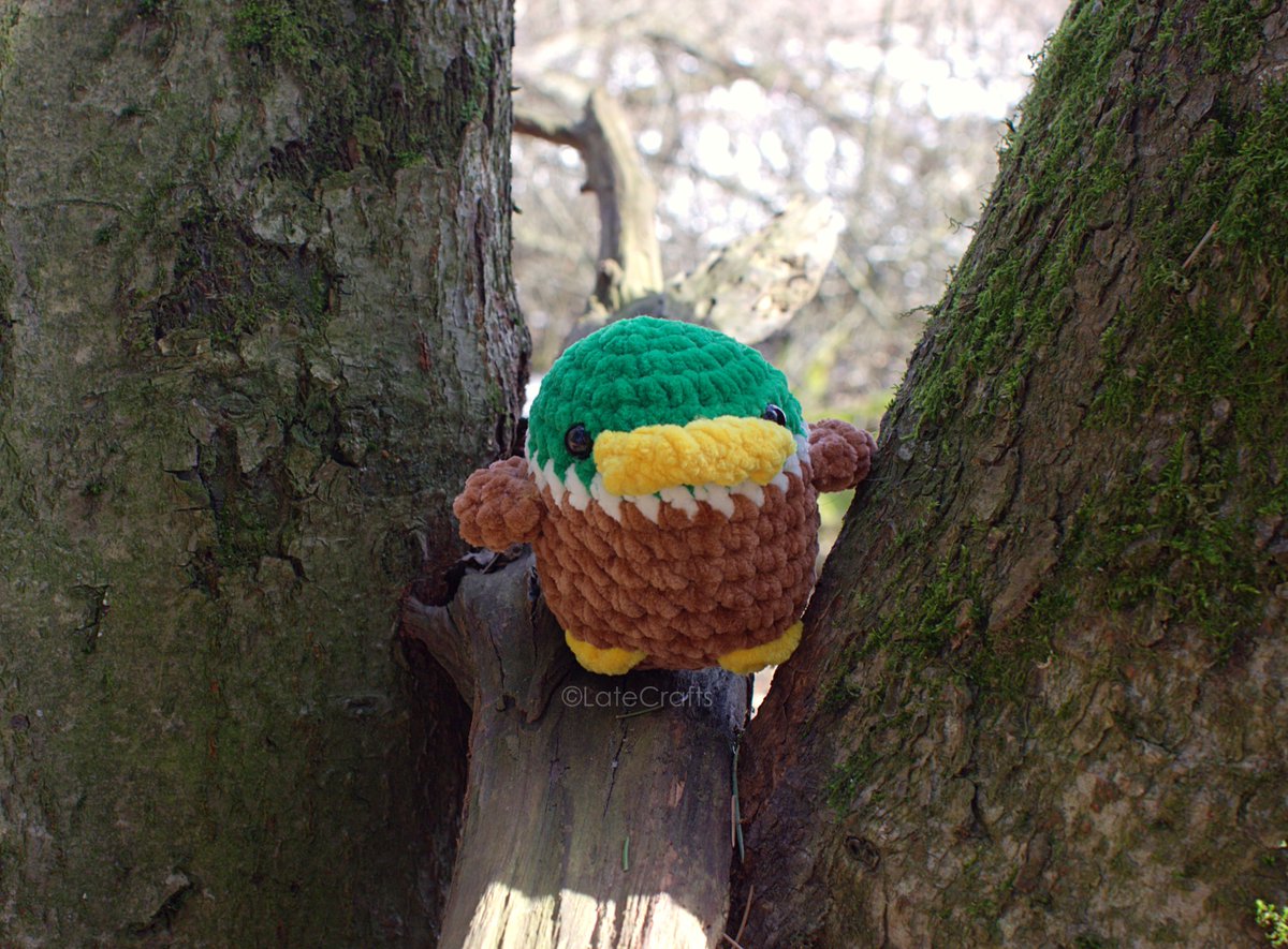 LateCrafts's tweet photo. I've made so many ducks  this week! I think next I'm going to make a bunch of chickens 😁  prepping for events, which is keeping me very busy!

#amigurumi #crochet https://t.co/TamnCyrZTT