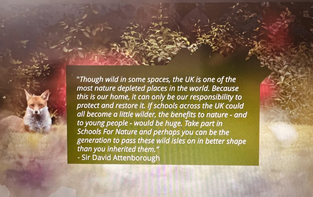 We attended some fantastic training today with the @Natures_Voice to learn more about #schoolsfornature 
If you haven't looked in to this please do
saveourwildisles.com/schools
This quote from Sir David Attenborough reminds us why we are all responsible for protecting our planet.