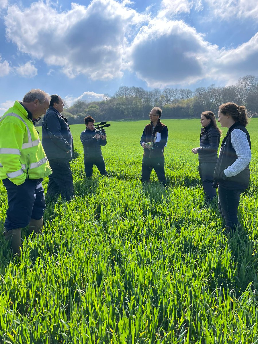 Out in the field today assessing disease levels, #TeamBayer &amp; <a href="/AdasBlake/">Jonathan Blake</a> discussed T1 options and checked the wheat growth stages 🌾

Thank you to Farm Manager Colin Woodward for hosting! 😊

@Gilesy256 @rozzimartin <a href="/ADASGroup/">ADAS</a>