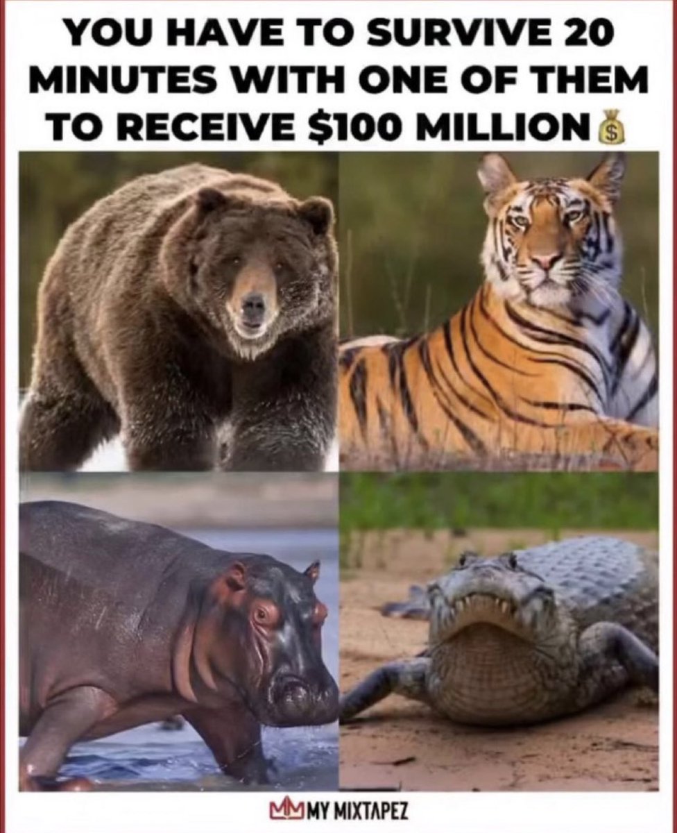 Black Rifle Coffee tweet media