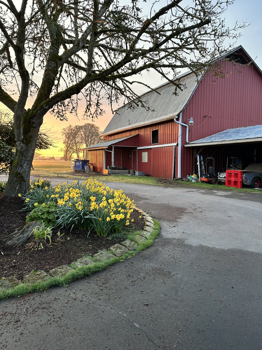 sumlinsday's tweet image. Trigger Level: Eye twitch/spasms - the instant I open LinkedIn. If you need me, I’ll be over here farming until I can physically deal with  considering going back to any office. Everything works out, trust the process!