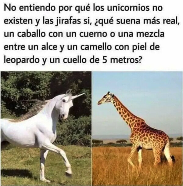 cuantocabron's tweet photo. Una jirafa es mucho más disparatada https://t.co/gXnKjUG11K https://t.co/8TpWhbqIFp