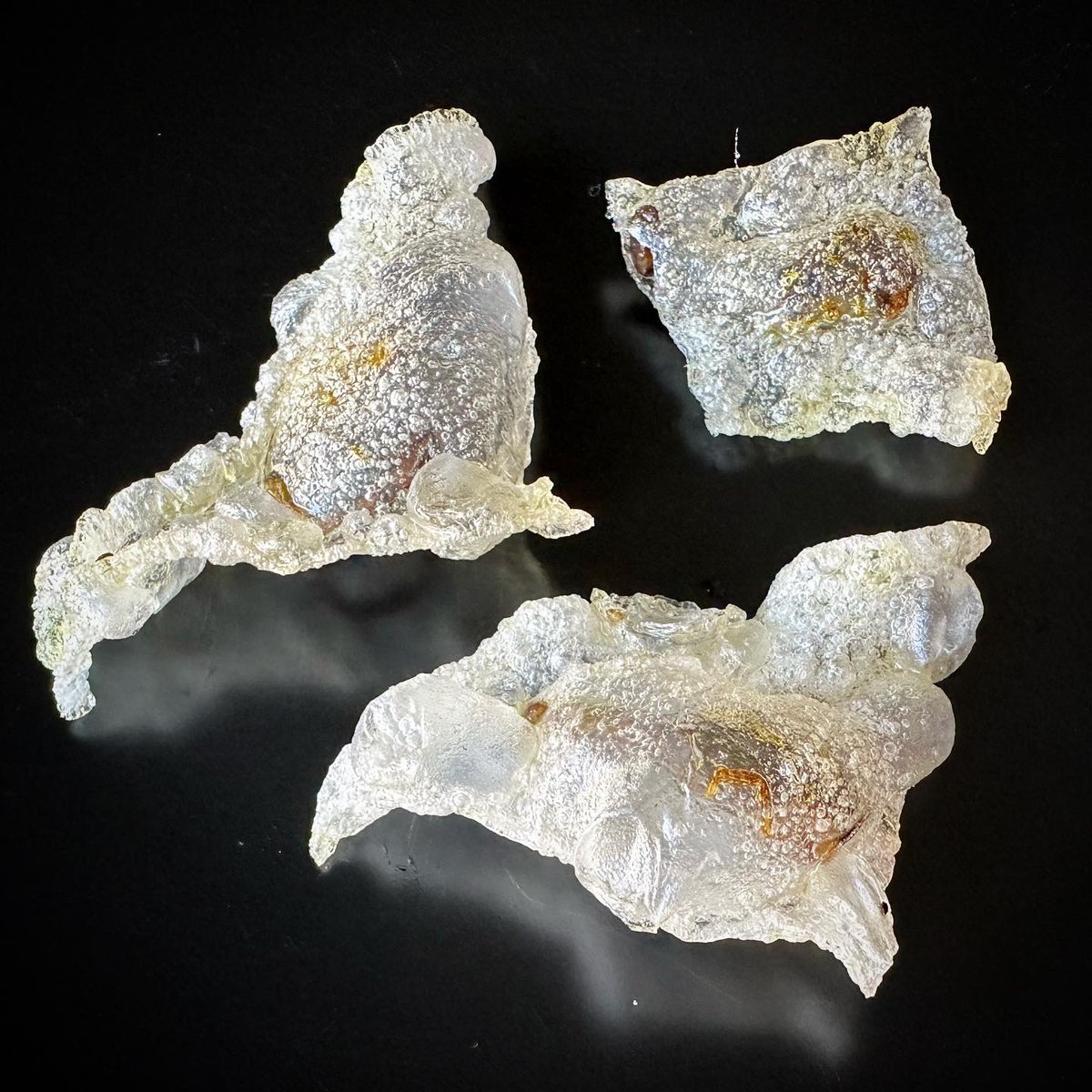 Would you believe me if I told you there was a scorpion inside the cracker?