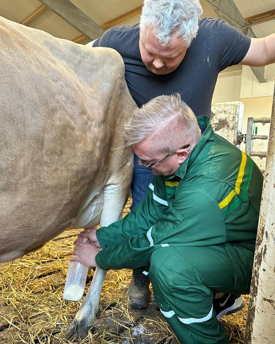 City_Xtra's tweet photo. Ig Alfie Haaland: "Somebody has to do the work so other people can enjoy.... Agree @ErlingHaaland ?" [alfiehaaland] https://t.co/1it6YrhJCF