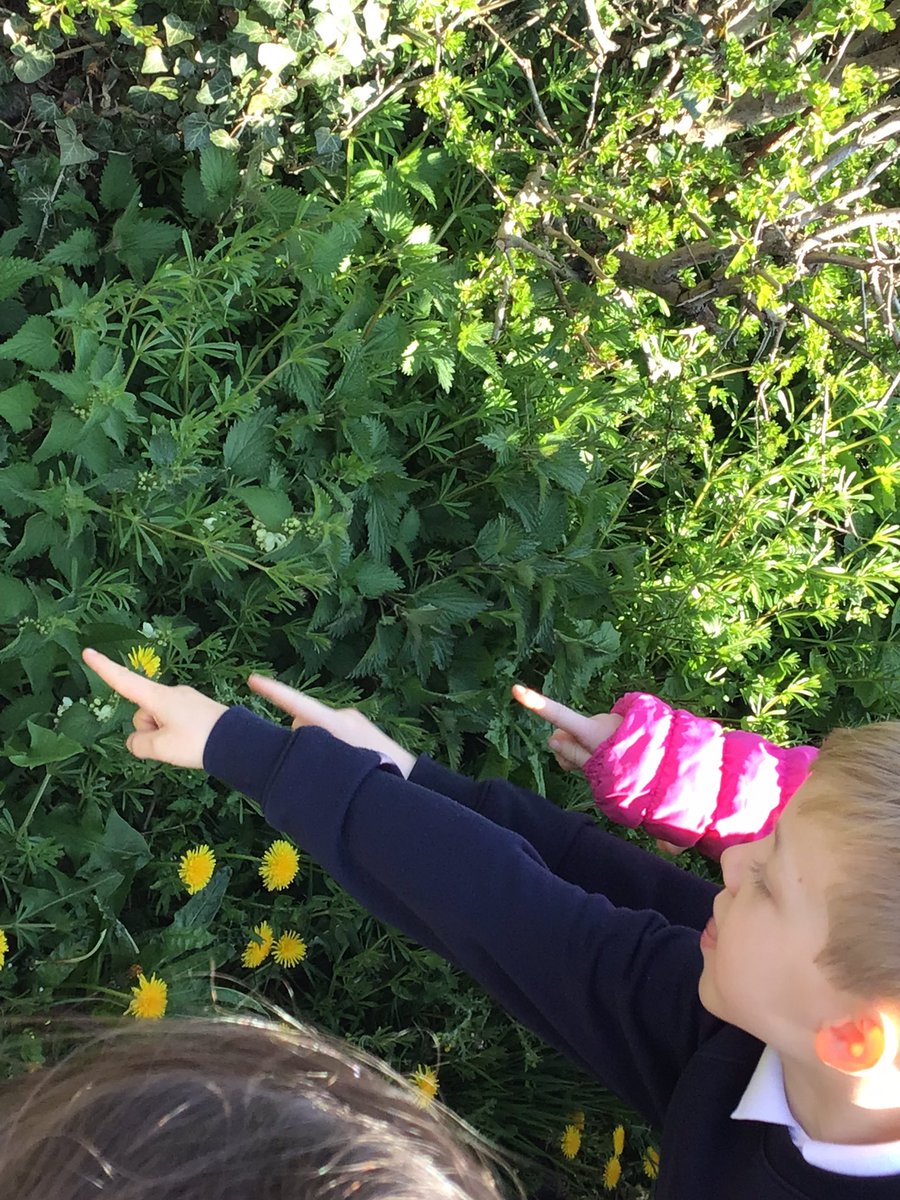 MrsW2200's tweet photo. #TockYear2 @Tockwithcofe Year 2 made the most of the sunshine and enjoyed a spring walk around the local area. We were spotting changes in nature during Spring and going down Memory Lane with links to previous learning, even Neville and Mr Reeve joined in the fun! https://t.co/0pkHk568Ux