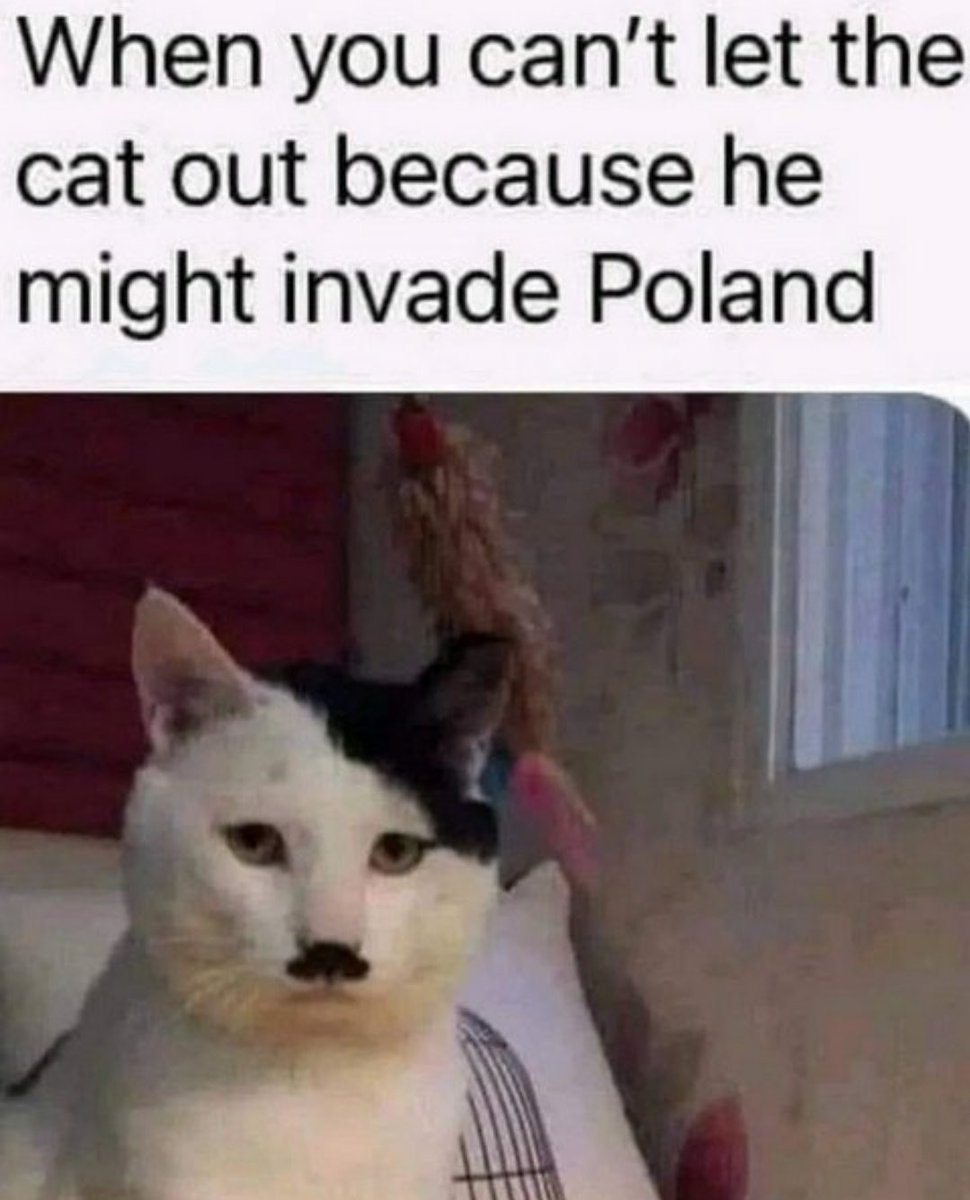 When you can't let the cat out because he might invade Poland.