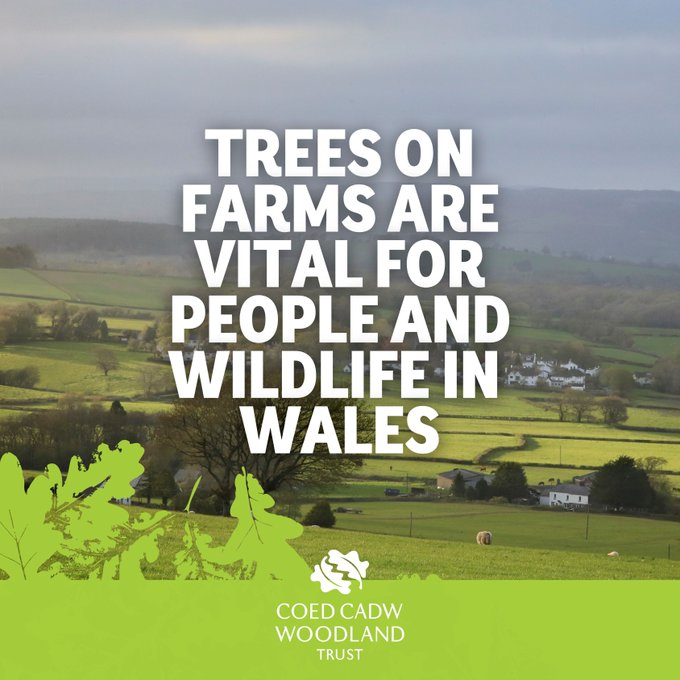 This looks interesting Support our farmers, nature & our communities’ health & wellbeing now, & into the future, by supporting #OurTenAsks for Trees. campaigns.woodlandtrust.org.uk/page/124423/ac… @CoedCadw